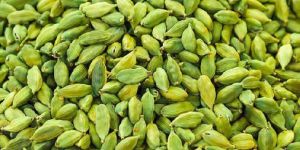 Green Cardamom
