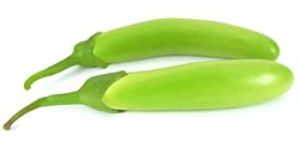 Long Green Brinjal