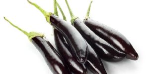 Long Purple Brinjal