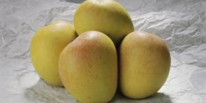 Payri Mango
