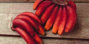 Red Banana