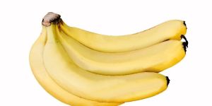 Yellow Cavendish Banana