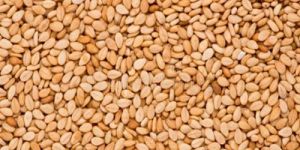 Brown Sesame Seeds