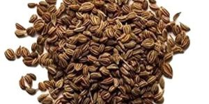 Carom Seeds