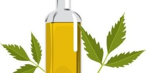 Neem Oil