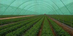 Agro Shade Net