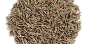 Cumin Seeds