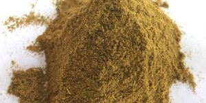 Cumin Powder