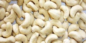 W240 Cashew Nuts