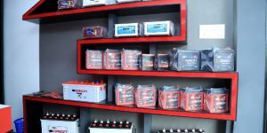 Automatic Electronic Inverter