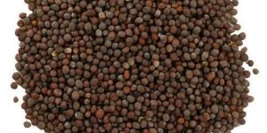 Small Mustard Seeds