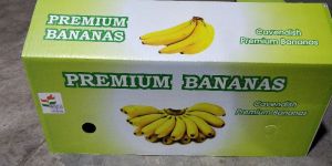 Banana Packaging Box