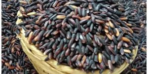 Black Rice