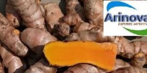 Fresh Lakadong Turmeric