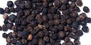Blackpepper