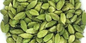 Cardamom