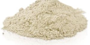 Mushroom Powder
