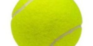 Tennis Ball