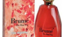 Brume Dark Obsession Perfume