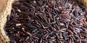 Black Rice