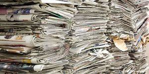 News Paper Scrap