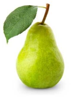 Fresh Pear