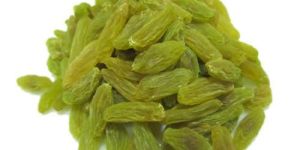 Green Raisins