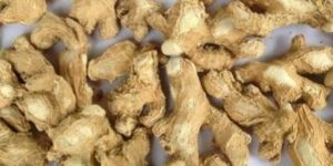 Dried Ginger Slices