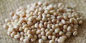 Whole Washed Urad Dal