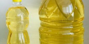 Sunflower Oil