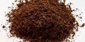Coco Peat Powder