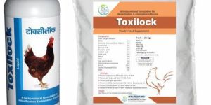 Toxilock Powder