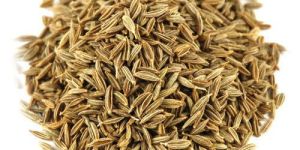 Cumin Seeds