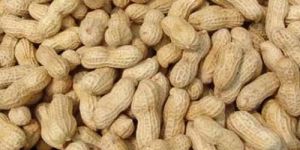 Shelled Groundnuts