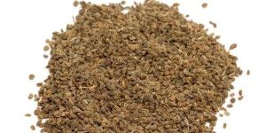 Celery Seeds