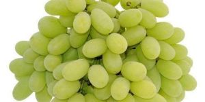 Fresh Green Grapes