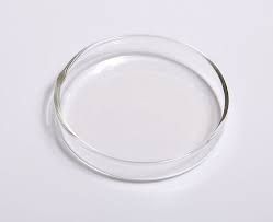 Petri Dish