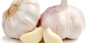 Fresh Natural Garlic