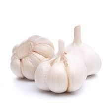 Fresh White Garlic
