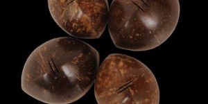 Coconut Shell Pepper Sprinkler