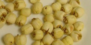 Lotus Seeds