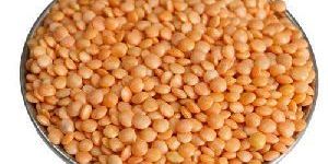 Masoor Dal