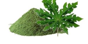 Papaya Leaf Powder