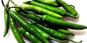 Fresh Green Chilli