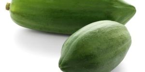 Fresh Green Papaya