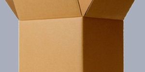 Corrugated Fruit Packaging Box