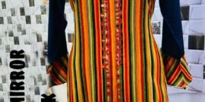 Ladies Stylish Kurti