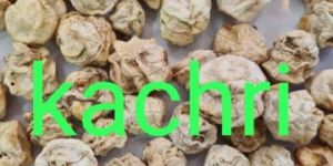Dried Kachri