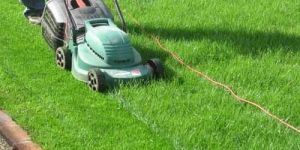 Garden Maintenance Service