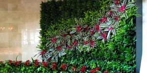 Indoor Plant Maintenance Services